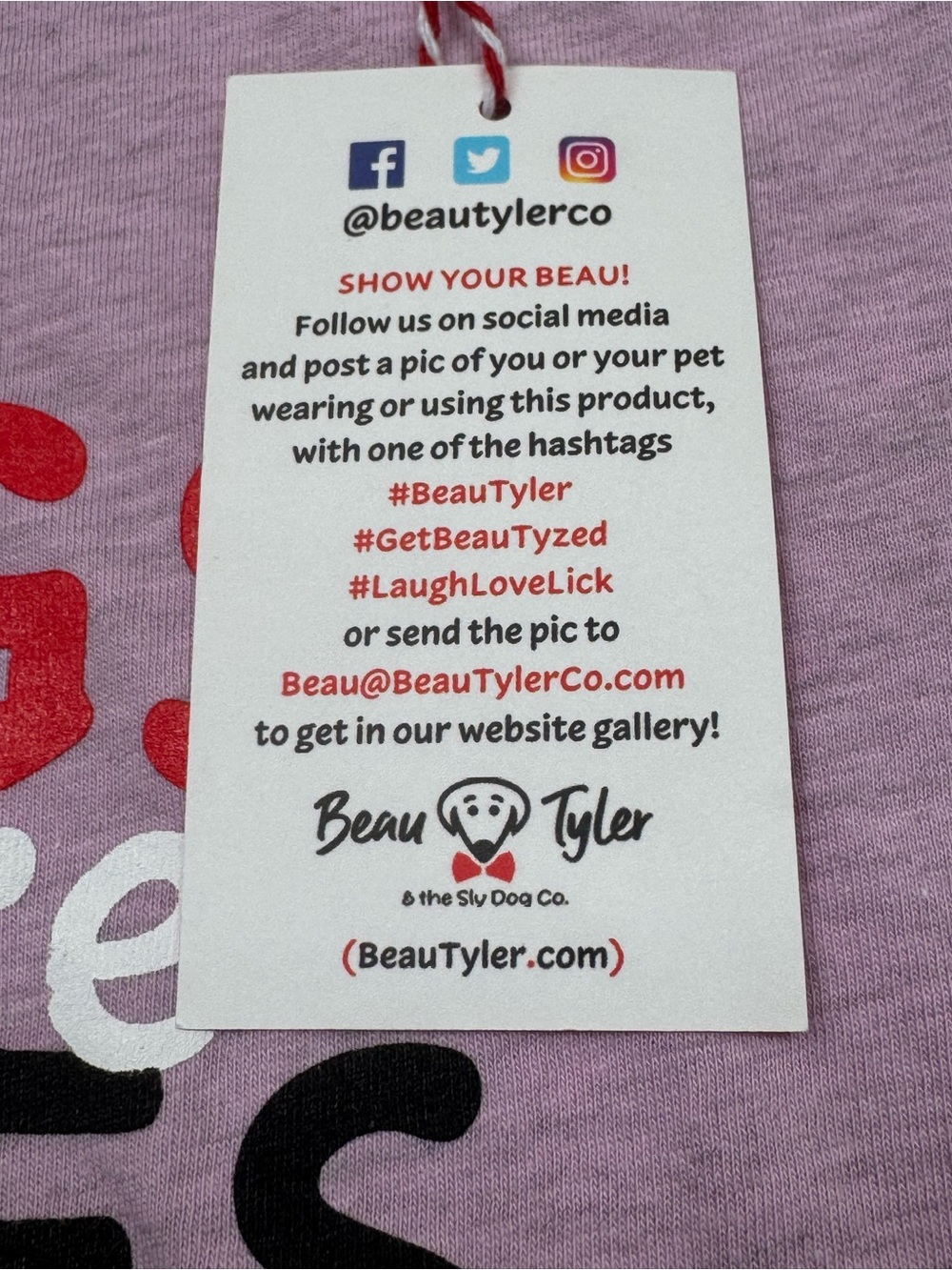 Bella Canvas Women’s 'Dogs Before Dudes' Graphic Tee - Picture 9 of 11